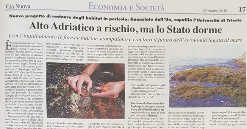 vita_nuova_ROC-POPLife_2019_sc